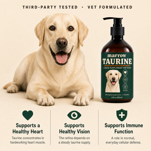 Marrow Pure Taurine for Dogs