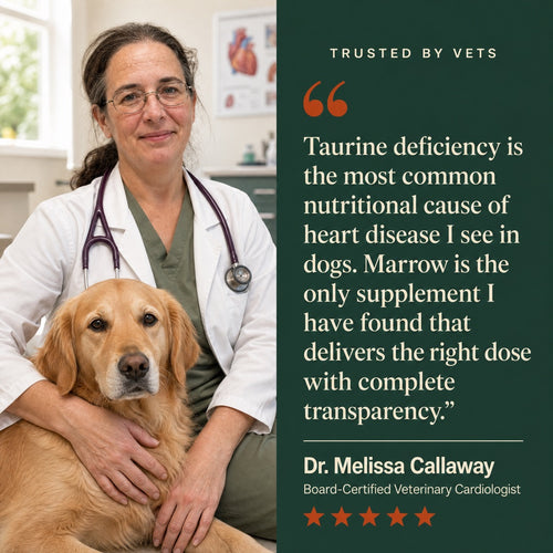 Marrow Pure Taurine for Dogs