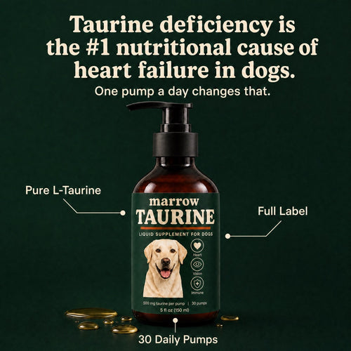 Marrow Pure Taurine for Dogs