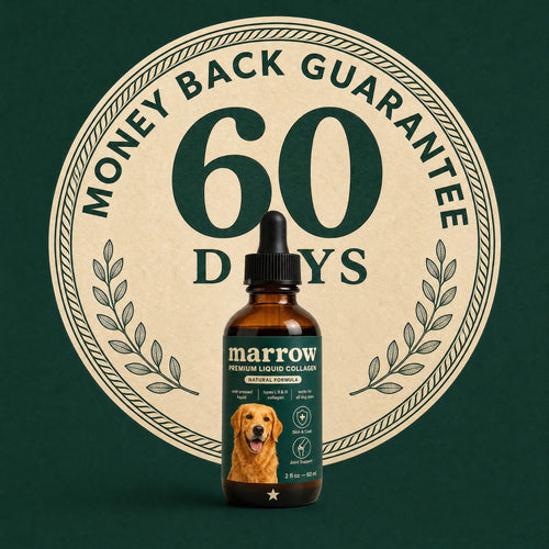 Liquid Collagen Peptides for Dogs