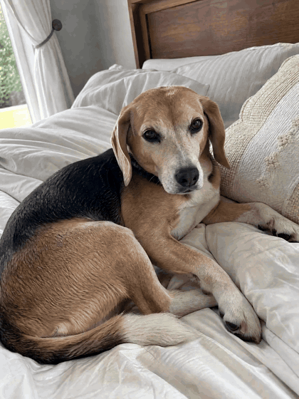 Copper (12 years old) after