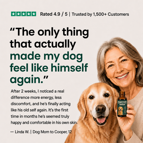 Marrow Liquid Collagen for Dogs