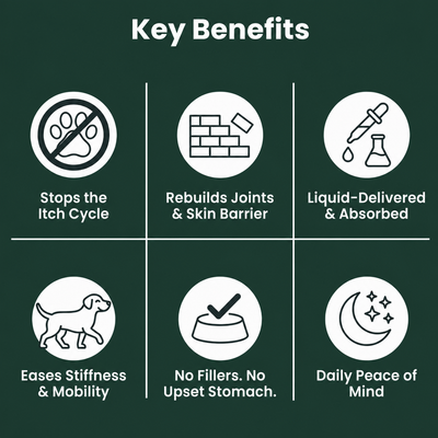 Marrow key benefits grid — joint, skin and coat support in liquid format