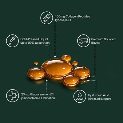 Inside the Marrow formula — golden liquid droplets with ingredient callouts