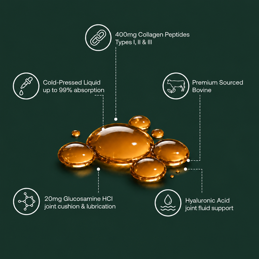 Inside the Marrow formula — golden liquid droplets with ingredient callouts