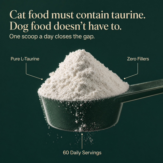 Cat food must contain taurine, dog food does not have to: one scoop closes the gap