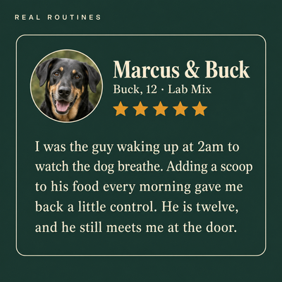 Owner story: the 2am routine that became one simple scoop a day