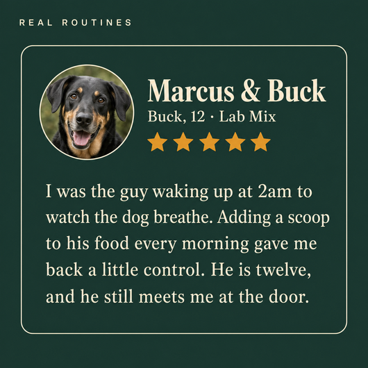 Owner story: the 2am routine that became one simple scoop a day