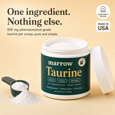 One ingredient, nothing else: open tub of pure taurine powder with 500 mg scoop
