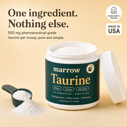 One ingredient, nothing else: open tub of pure taurine powder with 500 mg scoop