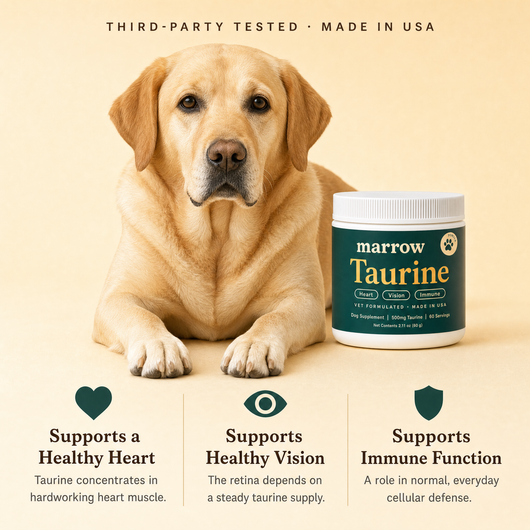 Supports a healthy heart, healthy vision and immune function in senior dogs