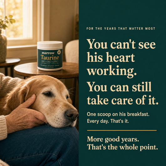 You can't see his heart working. You can still take care of it.