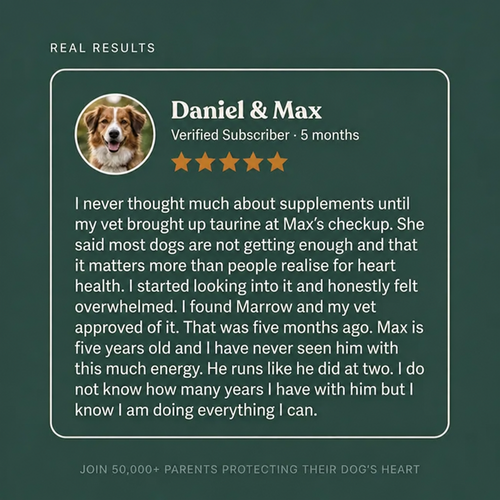 Marrow Pure Taurine per cani
