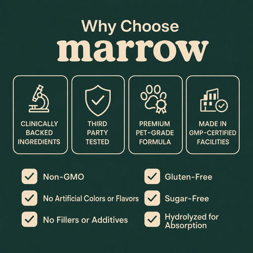 Marrow Liquid Collagen for Dogs