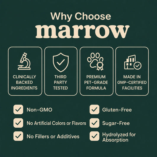 Marrow Liquid Collagen for Dogs