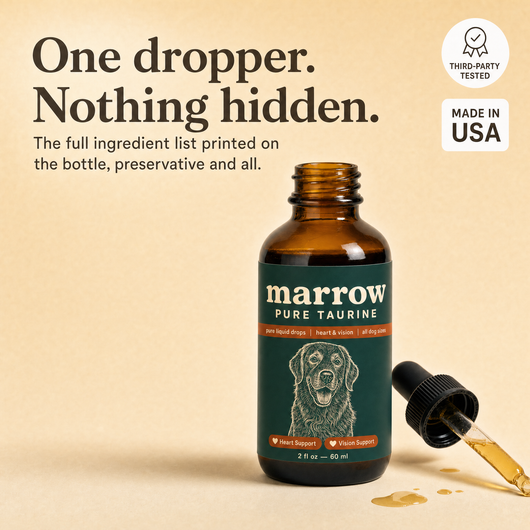 One ingredient, nothing else: open bottle of pure taurine liquid with 100 mg dropper