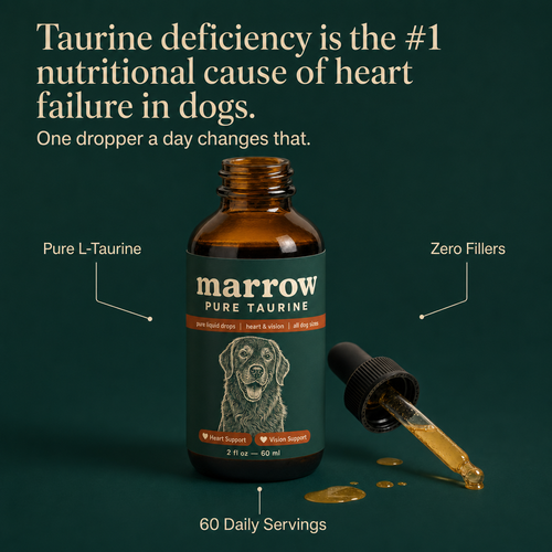 Marrow Pure Taurine per cani