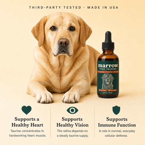 Marrow Pure Taurine per cani