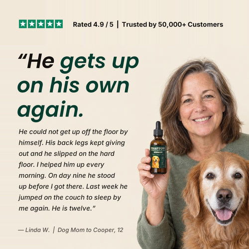 Liquid Collagen Peptides for Dogs