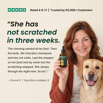 Customer review: she has not scratched in three weeks, Donna R., dog mom to Maple, 9