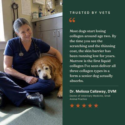 Trusted by vets, Dr. Melissa Callaway DVM on the skin barrier