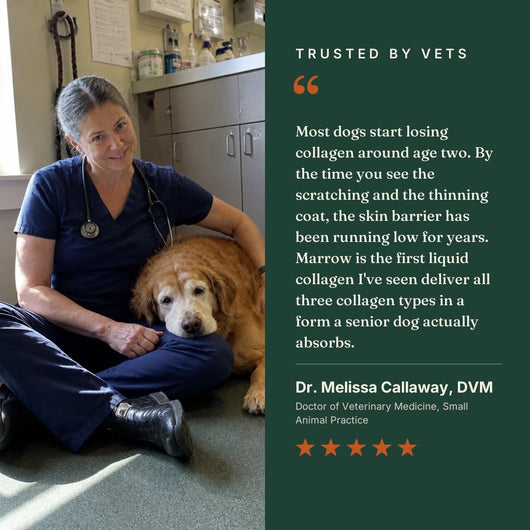 Trusted by vets, Dr. Melissa Callaway DVM on the skin barrier