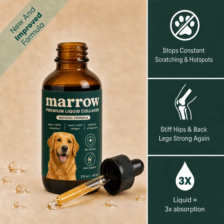 Marrow Premium Liquid Collagen for Dogs