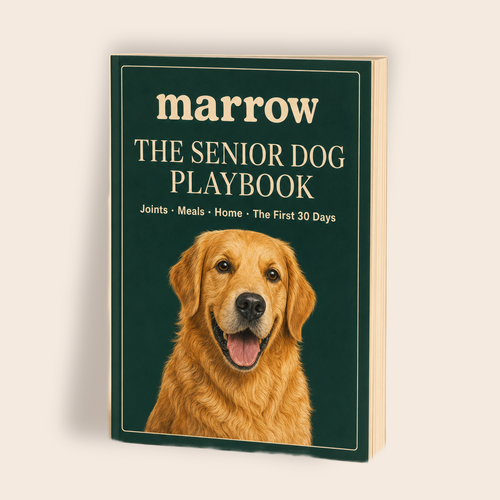 Guida alla longevità del cane