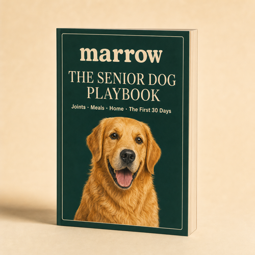 Canine Longevity Guide